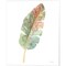 Boho Tropical Leaf I on White by Danhui Nai 16" x 20" Canvas Wall Art
